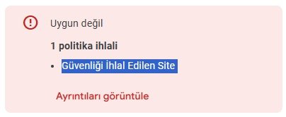 güveliği ihlal edilen site