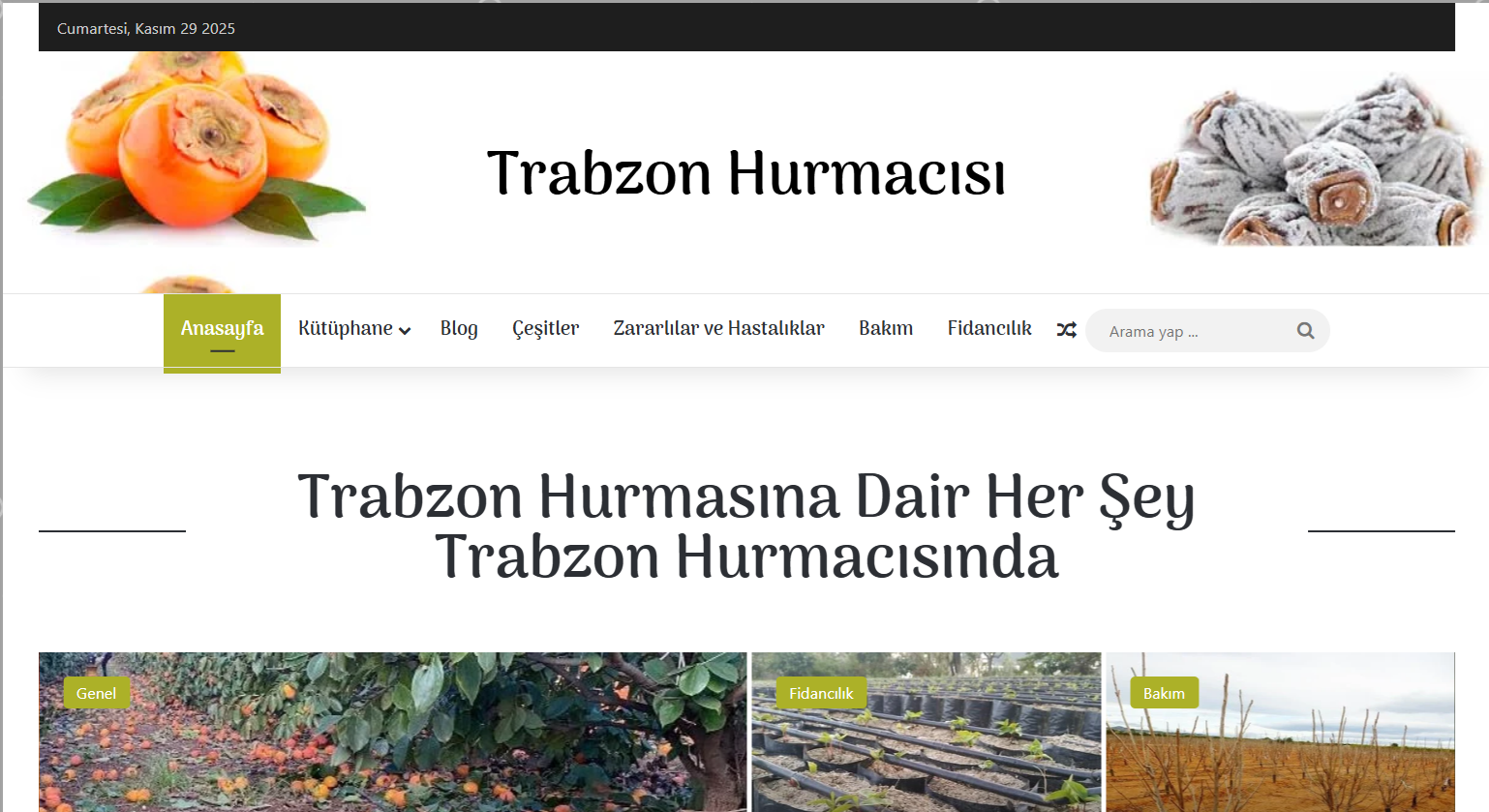 trabzon hurmacisi